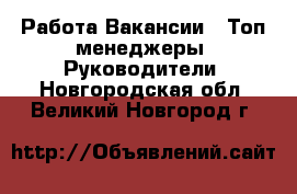 Работа Вакансии - Топ-менеджеры, Руководители. Новгородская обл.,Великий Новгород г.